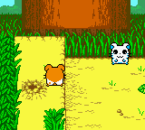 Hamtaro Ham-Hams Unite screenshot 4 for GameBoy Color